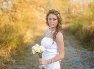 Best Michigan Wedding Photographer