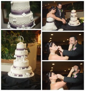 Lake Orion Michigan Wedding Photographer