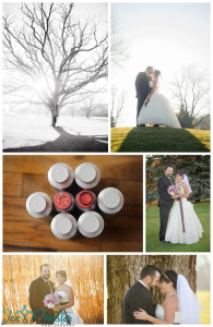 Lake Orion Michigan Wedding Photographer